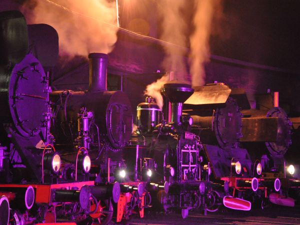 Wolsztyn. Parowozownia - jedyna czynna w Europie. Parowozy po pokazie - Para, Światło, Dźwięk w dniu 30.04.2010 roku.