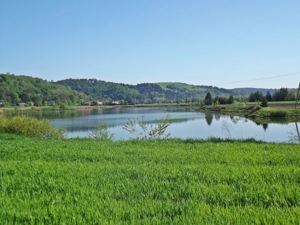 stawy - widok z drogi zmierzającej do przeprawy promowej, polecam wgląd na mapę i na mnogość stawów, nigdzie więcej w tej okolicy nie ma ich tak wiele !