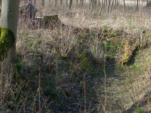 wieś była - życiem tętniła, we dworze 15 osób - we wsi ok. 250 w 40-tu domach a tu nisza po piwnicy się ostała, cicho jakoś - nawet ptactwo "jakieś podejrzliwe"