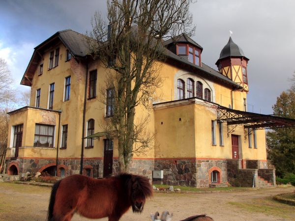 Pałac Monbijou i zaprzyjaźnione zwierzaki