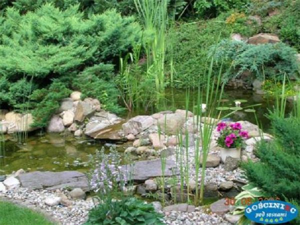 zdjecie Zielona Góra