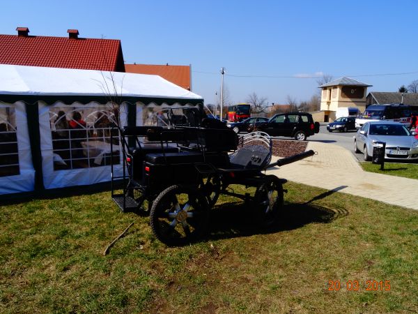 dorożka - na ekspozycji, ubogaca i jakby sugeruje iż czeka na wykorzystanie, no ale jeszcze konia trzeba, my zaś wiemy, że są uczelnie o podobnym profilu a w  s