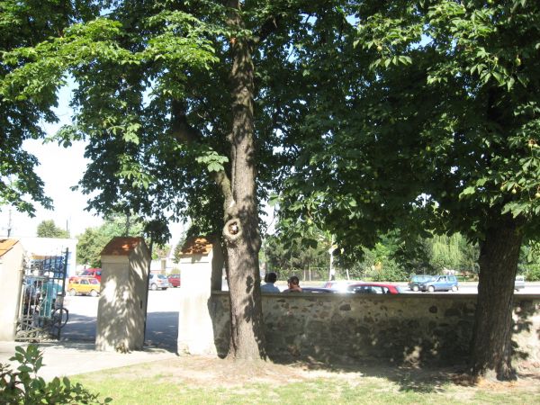 zdjecie Mariańskie Porzecze