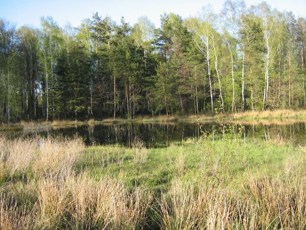 zdjecie Podłęże Królewskie