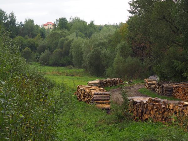 skład drewna - droga prowadzi na plac wypału węgla drzewnego - tam retorty, droga musi być w kształcie litery U bo po zabraniu urobku - worków pełnych - wyjazd