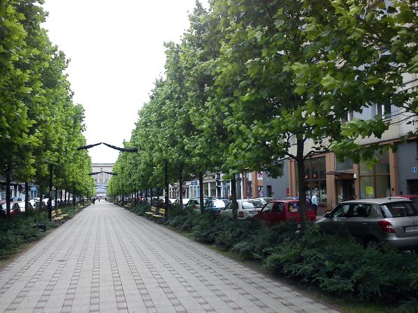 Sosnowiec-Ulica Zwycięstwa.