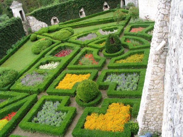 Kwiaty na Zamku w Ojcowie