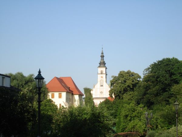 Zamek Zupny (XIII w.) W tle 
 kosciol pw. sw. Klemensa.