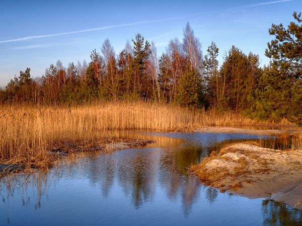 zdjecie Dąbrowa Górnicza