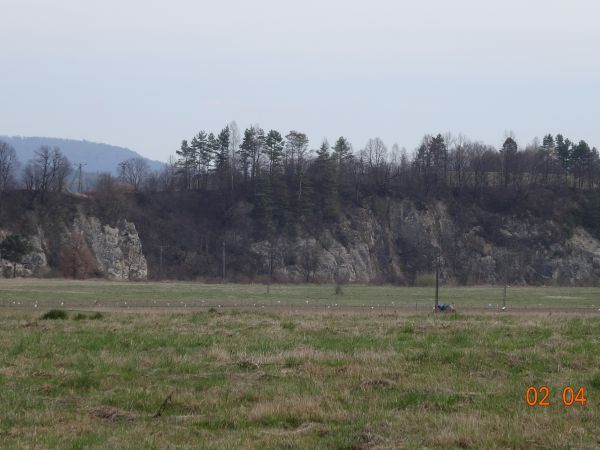 tu tzw. Błonia nad Sanem a za nim potężne urwisko skalne, pomnik przyrody "Skałki Myczkowieckie" - dł. 600m i wys. 60m, tam gniazduje wiele ptaków, ze  skał roz