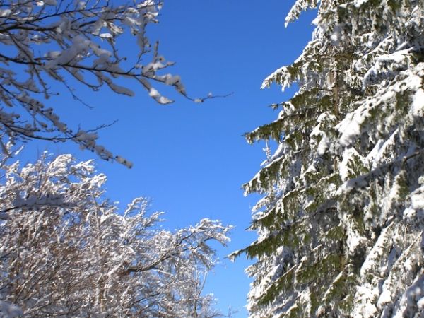 NA SZLAKU Z SZYNDZIELNI NA KLIMCZOK