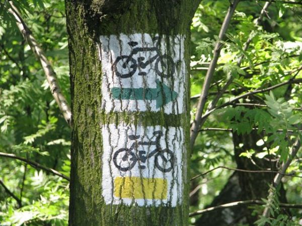 Szlaki rowerowe [ www.naszgrojec.pl ]