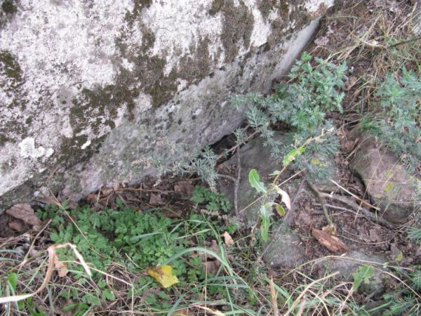 Schron nr 5. Armii "Poznań" z 1939r. Ogromny, częściowo zasypany głaz - tarasujący i uniemożliwiający wejście do schronu.