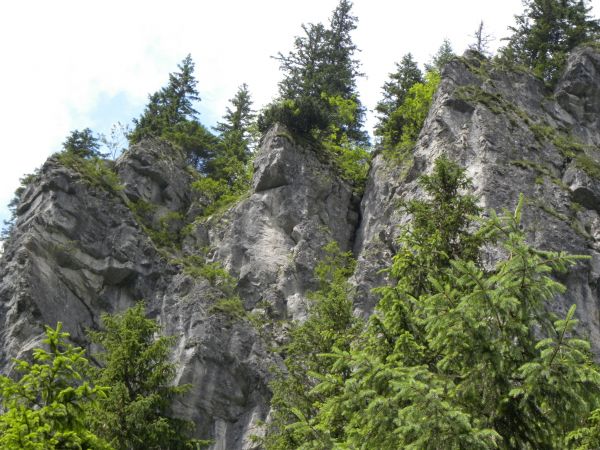 zdjecie Zakopane