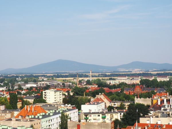 zdjecie Świdnica