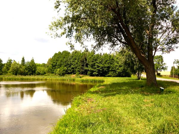 KRAJOBRAZ WSI TRUSZCZANEK K/ROZPRZY