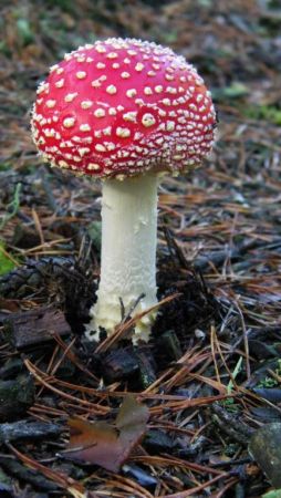 byłem nic nie znalazłem starsza fotka