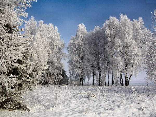 zdjecie Tyniewicze Duże