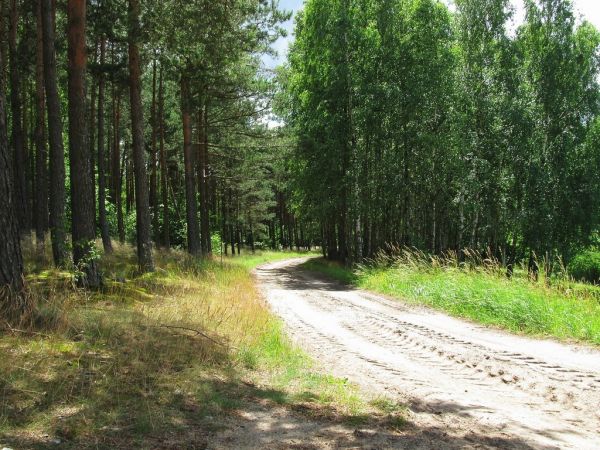 Ulica Jeziorna w Lubikach