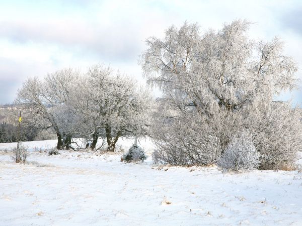 Zima w Pasterce w górach Stołowych. Malutka, malownicza wioska u samego podnóża Szczelińca Wielkiego jest unikalną już oazą ciszy i spokoju zadziwiając przy tym