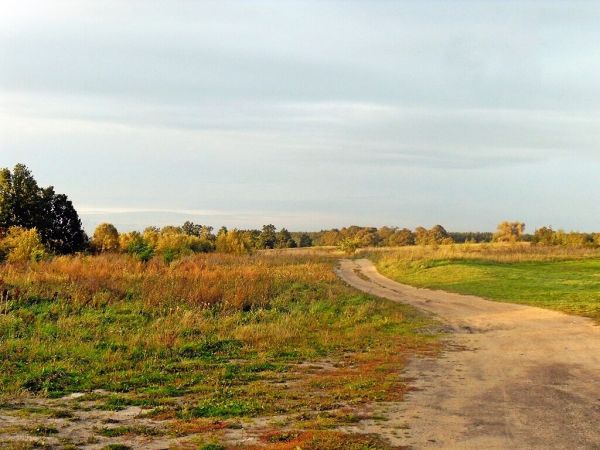 Teren na Łapiszewie za kościołem