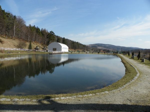 Jedlina Zdrój- Staw