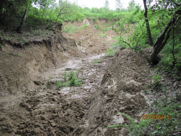Dalszy ciąg usuwiska