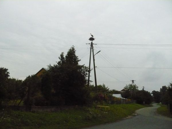 Mieszkaniec Skołoszowa