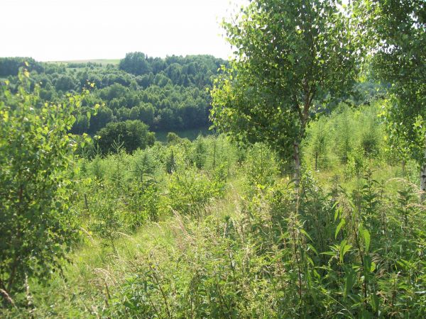 Krzemienna gm. Dydnia