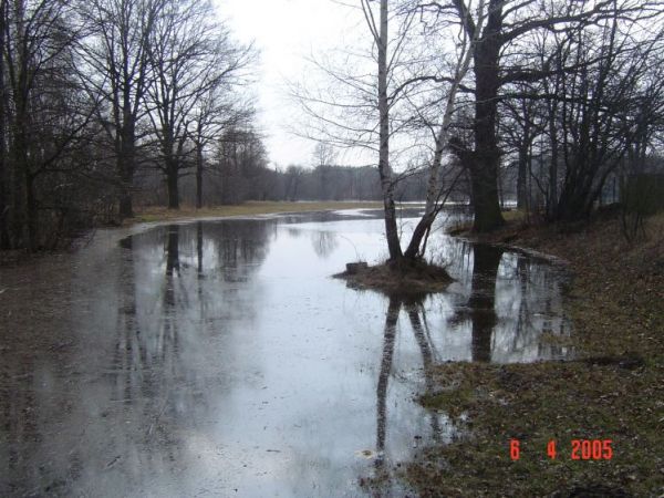 Sokołowo Włościańskie - zalewisko wiosene