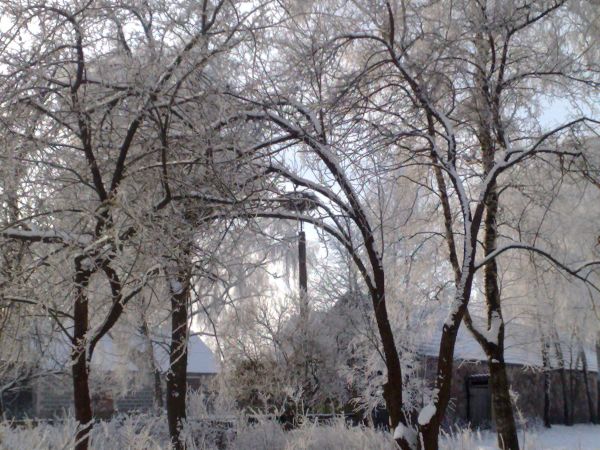 zdjecie Borawskie-Awissa