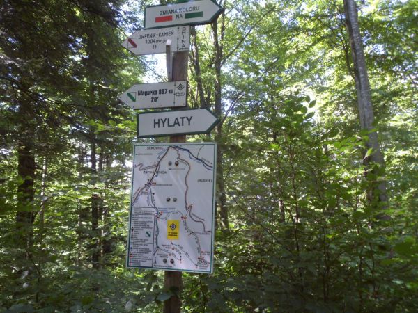 z miejscowości - sioła - osiedla leśnego - z m. Dwernik podchodzimy szlakiem na górę Dwernik Kamień.