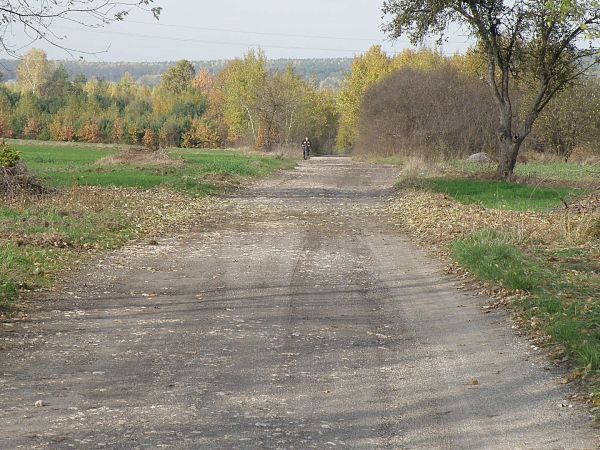 Boria na "Wyrzykowszczyznę"