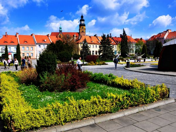 Wodzisław Śląski-rynek