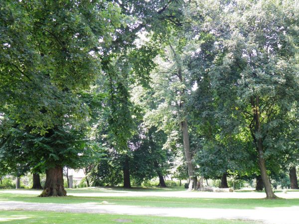 Dwór szlachecki i park wokół niego z XVII wieku w Boratynie k. Jarosławia. Obecnie mieści się tam piękna restauracja i winiarnia oraz hotel.