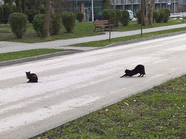 zdjecie Busko-Zdrój