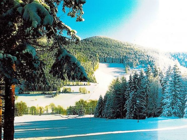 .tl
widok  na Pustosz 938m.n.p.m.