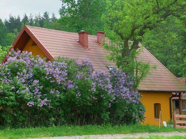 AgroJelonki - idealne miejsce na wypoczynek