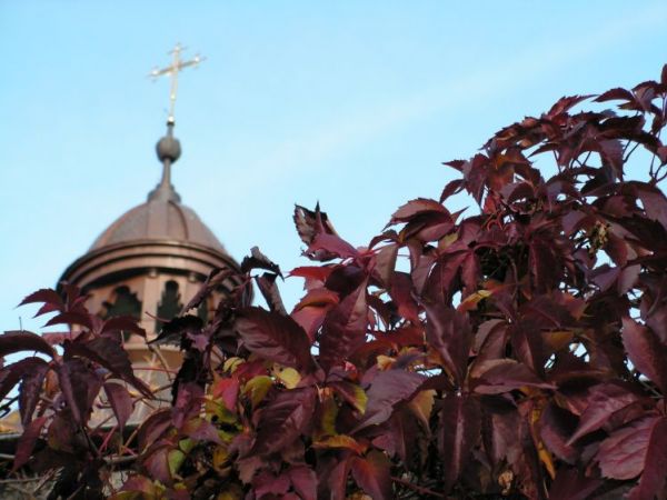 Cmentarz na Antoniuku  (fot,Marcin   B .Niczyporuk)