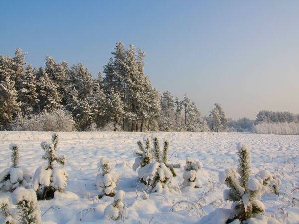 zdjecie Tyniewicze Duże