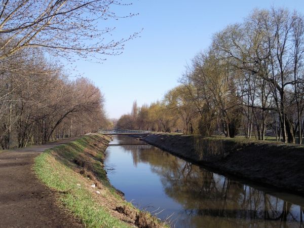 Rzeka Brynica, przepływająca przez Czeladź
