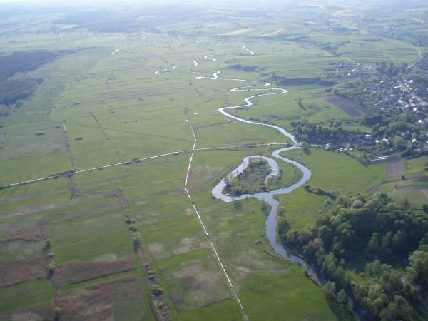 Wstęga wieprza płynąca nieopodal gminy Izbica