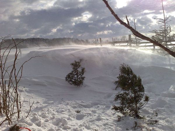 NASZA ZIMA- NASZ PARYZ