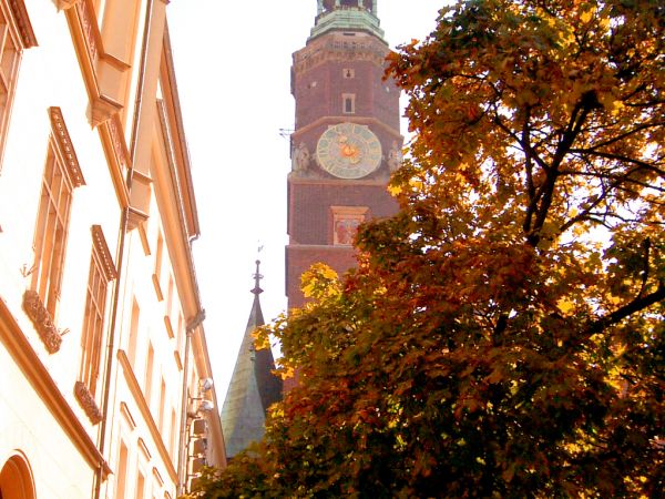 zdjecie Wrocław