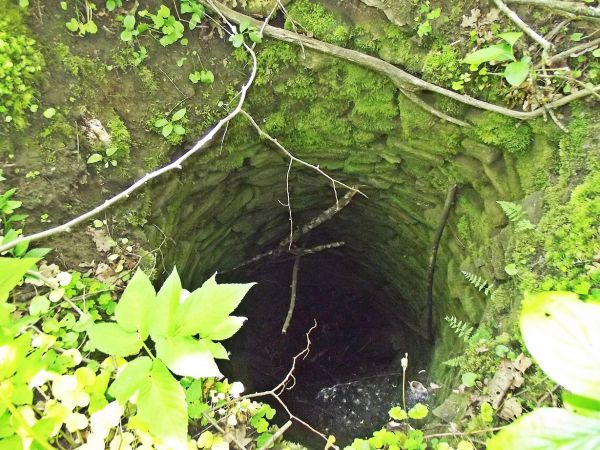 studnia - z walcem obłożonym kamieniami, żadna cembrowina nie wystaje ponad poziom gruntu, jest w zakrzaczeniu - toteż polecamy "monitorować każdy krok" - ujawn