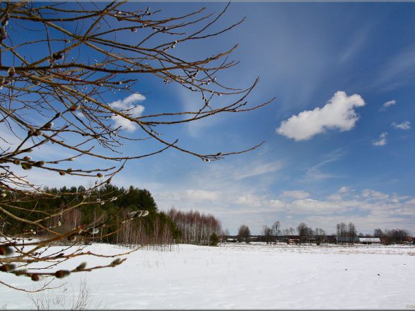 zdjecie Tyniewicze Duże