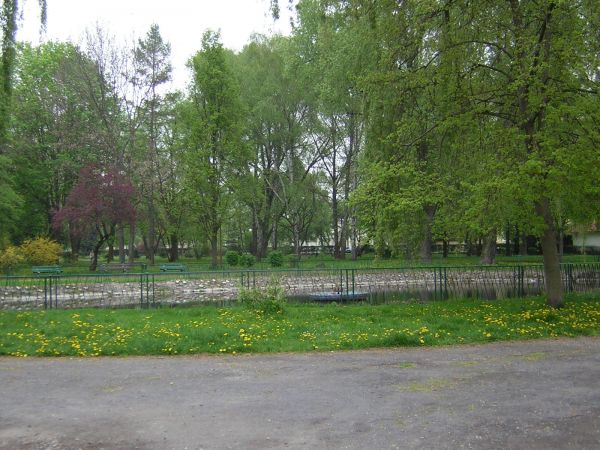 zdjecie Sulechów