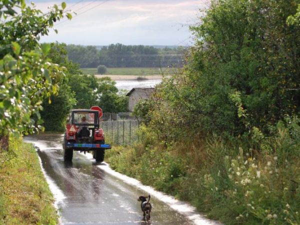 zdjecie Stare Kaliszany