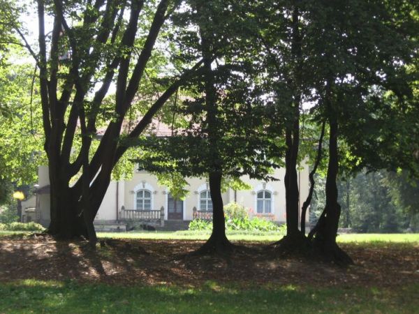 Park przy Pałacu