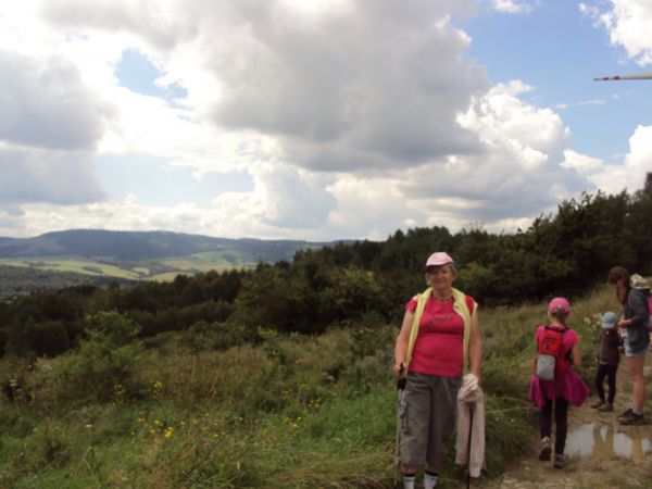 "Las Ostrowiec" po prawej, a widok jaki się otworzył na dolinę potoków Horyłka  i Płonka jest rzeczywiście wspaniały, widać też fragment śmigła turbiny wiatrowe